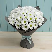 Букет белые хризантемы #REPLACE_PRED# 40 лет октября Букет цветов из:  Хризантемы #REPLACE_PRED# 40 лет октября